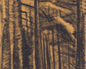 Emily Carr (Canadian, 1871 – 1945), <em>British Columbia Forest</em>, 1931, oil on wove paper. Purchased with the assistance of the Government of Canada through the cultural Property Export and Import Act, 1985.