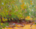 John William Beatty (Canadian, 1869 - 1941), <em>Sunlit Trees</em>, c. 1920, oil on board. Gift of Charles Lane Crang and Gertrude Eileen Crang, 1998. © 2012 Art Gallery of Ontario.