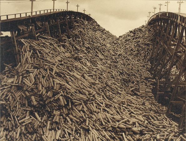 J.C.M. Hayward, Wood pile